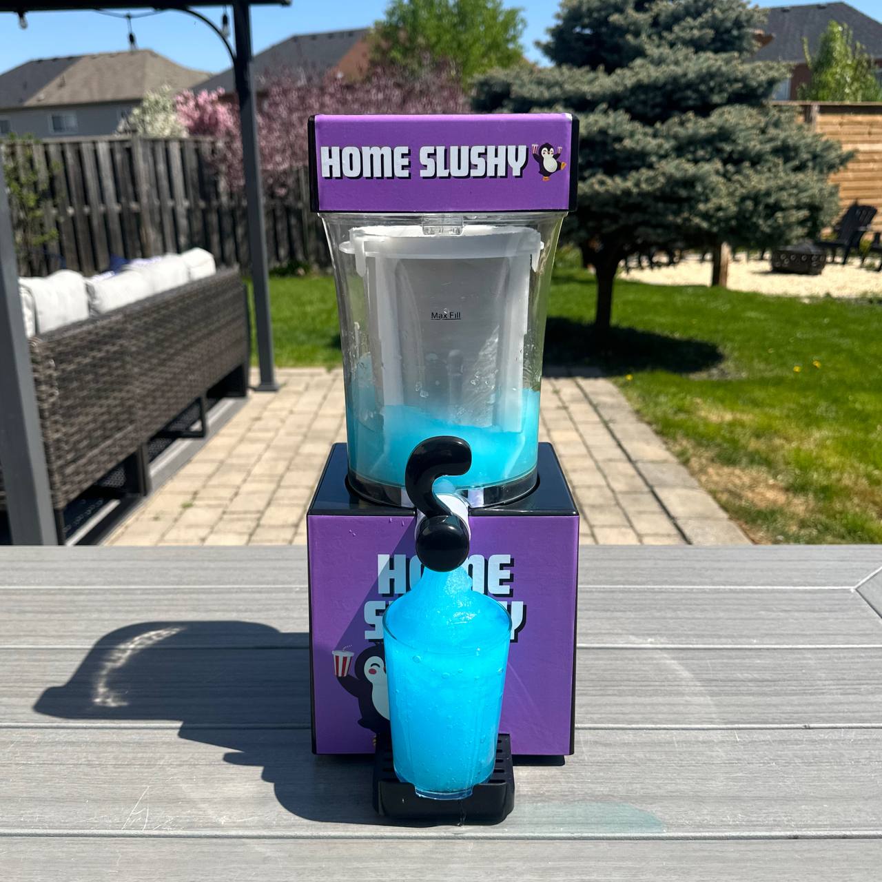 Home Slush Pro